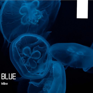 在售丨“BLUE” Trap beat