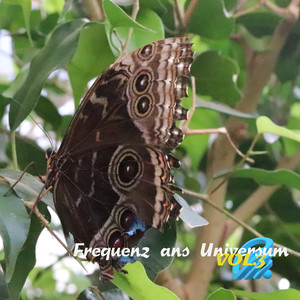 Lasst uns einfach Kinder sein