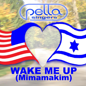 Wake Me Up Mimamakim