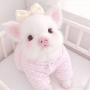 Like Someone in Love (sped up)