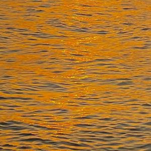 如果你能感同我的身受