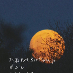 那些年你很冒险的梦