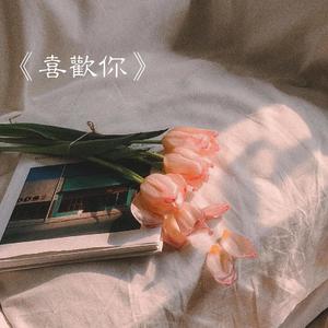 喜欢你(希林娜依高版)