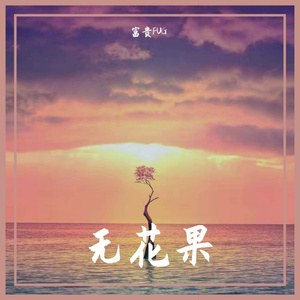 再见吧无花果（伴奏）