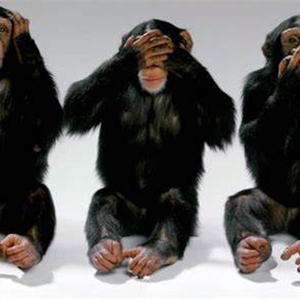 Here No Evil See No Evil