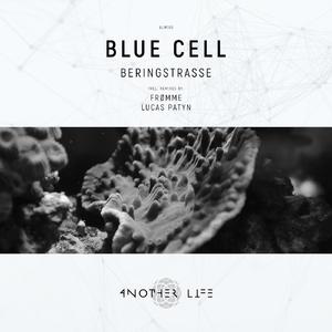 Beringstrasse (Frømme Remix)