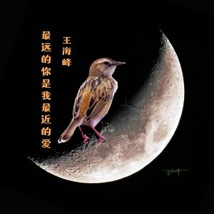 最远的你是我最近的爱
