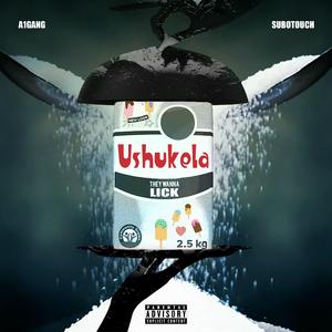 Ushukela (feat. SuboTouch)