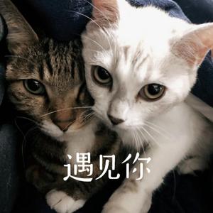 遇见你（prod.Lemon MAX）