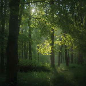 Ambient la luce soffusa