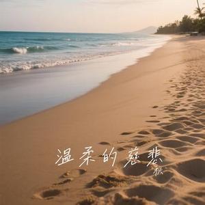问百度 (Cover 陈瑞)