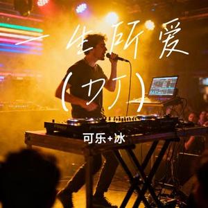 一生所爱 (DJ) (可乐+冰 Remix)