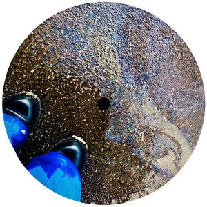 Never Losing That Track (Havantepe Radio Version)