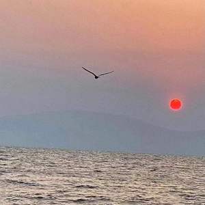 特别的人（cover女版）