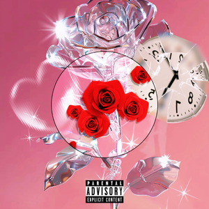 玫瑰的时间陷阱