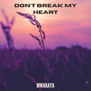 Don't Break My Heart