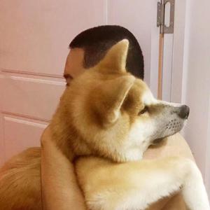 同花顺(钢琴版) 林倛玉