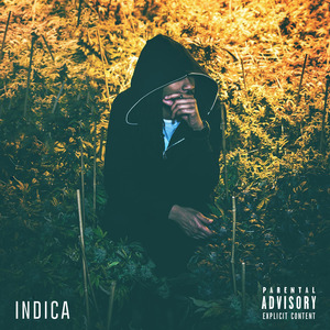 Indica