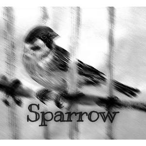 Sparrow