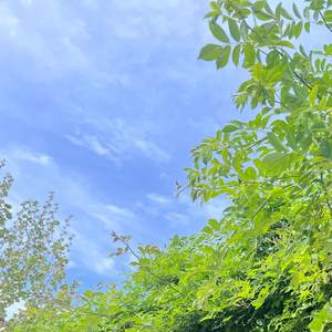 醉美南阳我的家