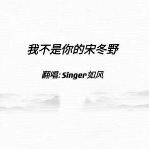 我不是你的宋冬野