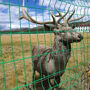 生（Pro by.Flowless）