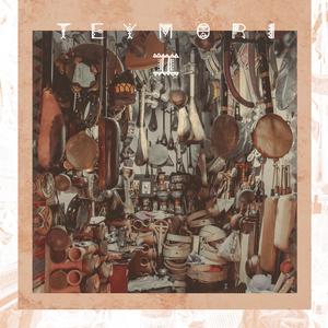 Tamo Junto (feat. QVLN)