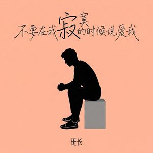 不要在我寂寞的时候说爱我