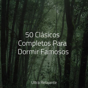 Desintoxicar el Cuerpo