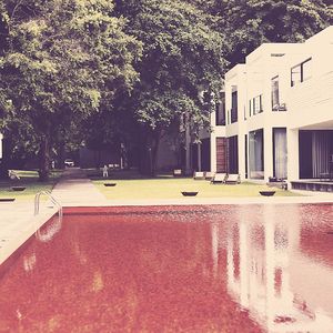 一尘不染鸡尾酒吧印象数