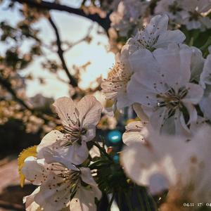 人生何处不相逢