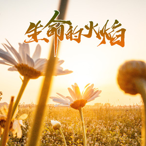 生命的火焰 (伴奏)