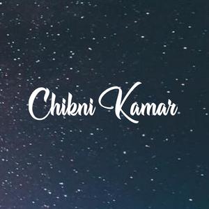 Chikni Kamar Song