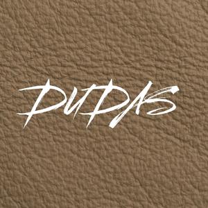 Dudando