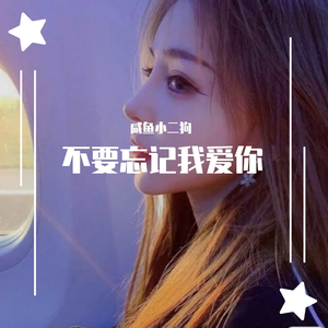 不要忘记我爱你