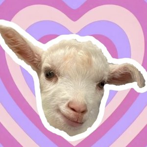 新建录音_9 【转】