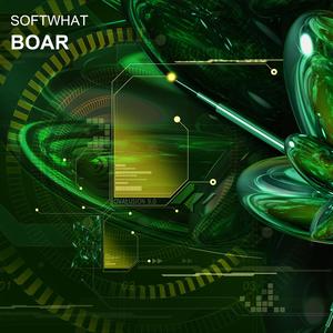 Boar