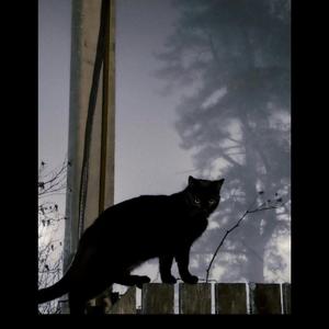 DarkOutside