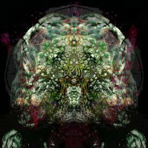 Залежність