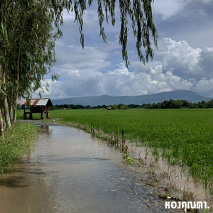 นันธิดา(ถ้าเหนื่อยก็กลับบ้านนะ)