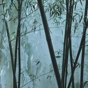 "Bambooo"-chill beat