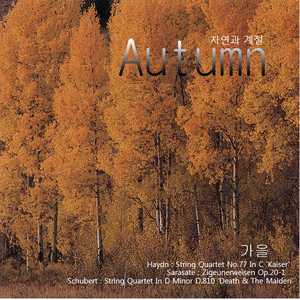 String Quartet In D Minor D.810 ’Death & The Maiden’ - II. Andante con moto 슈베르트：현악4중주곡 D단조 작품810 ‘죽음과 소녀’ 제2악장 안단테 콘 모토