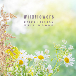 Wildflowers