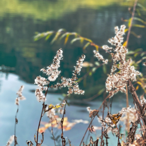 这是我一直想对你说的话