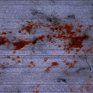 Ахахах в тг боте