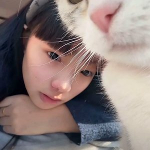 戏
