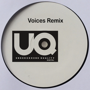 Voices (DJ Jus-Ed Remix)
