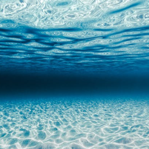 晓得 (Live) 陈楚生 姚晓棠