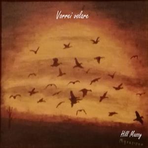 Vorrei volare