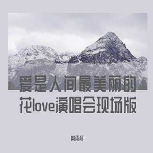 爱是人间最美丽的花love演唱会现场版